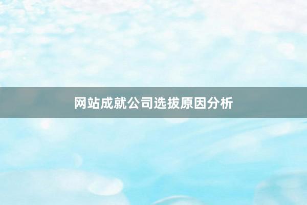 网站成就公司选拔原因分析