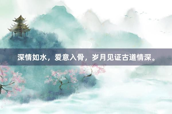 深情如水，爱意入骨，岁月见证古道情深。