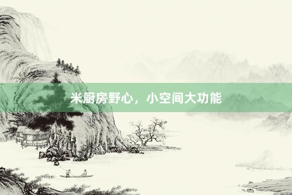 米厨房野心，小空间大功能