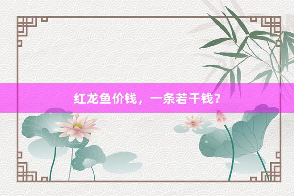 红龙鱼价钱,一条若干钱?