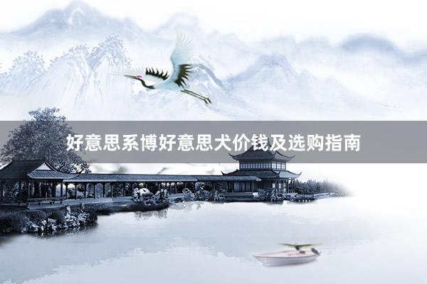 好意思系博好意思犬价钱及选购指南